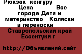 Рюкзак -кенгуру Baby Bjorn  › Цена ­ 2 000 - Все города Дети и материнство » Коляски и переноски   . Ставропольский край,Ессентуки г.